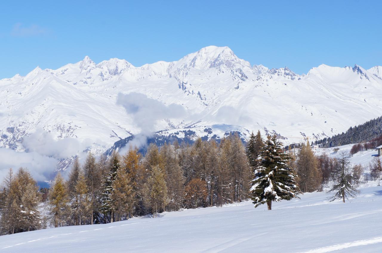 Chalet Les Amis Peisey-Nancroix Zewnętrze zdjęcie
